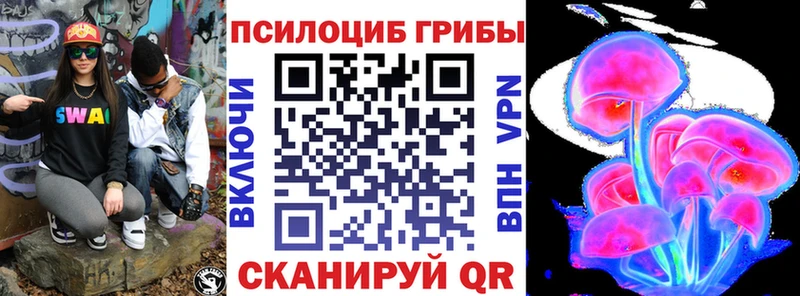 купить наркотик Порхов Псилоцибиновые грибы прущие грибы